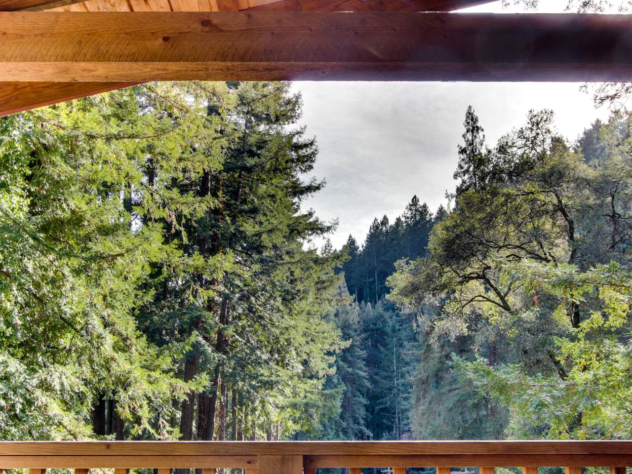 Unique Cabin near Santa Cruz, California