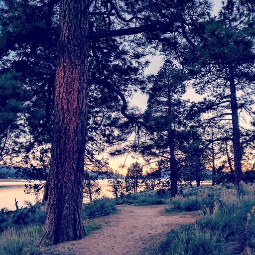 Cabins (Big Bear Lake, California, United States)