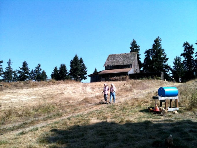 Cabins (Chimacum, Washington, United States)