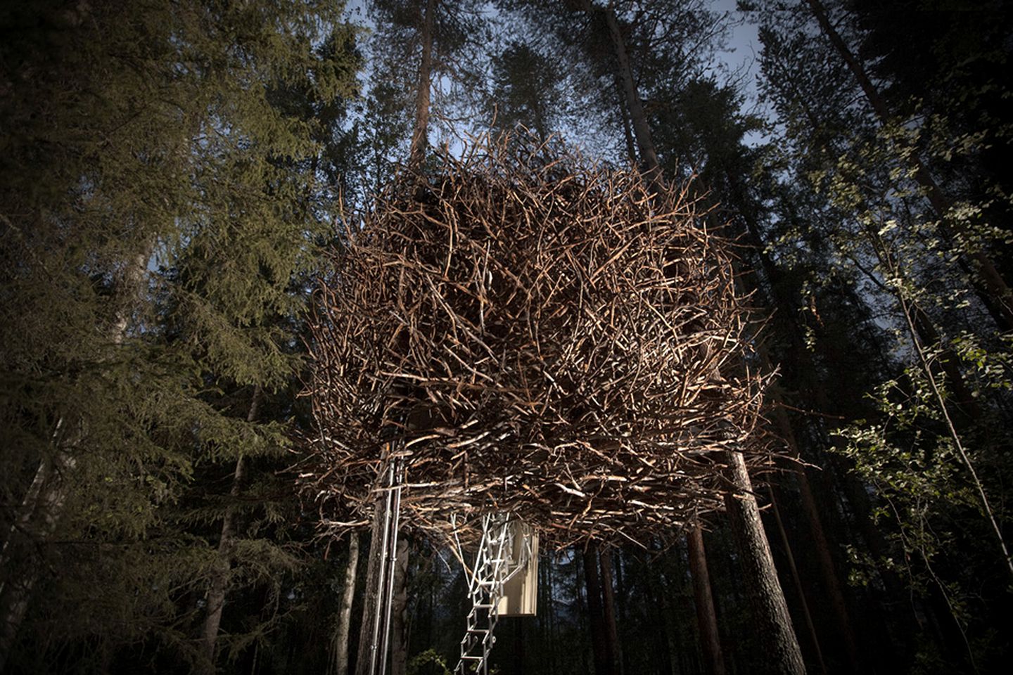 Tree hotel швеция харадс презентация