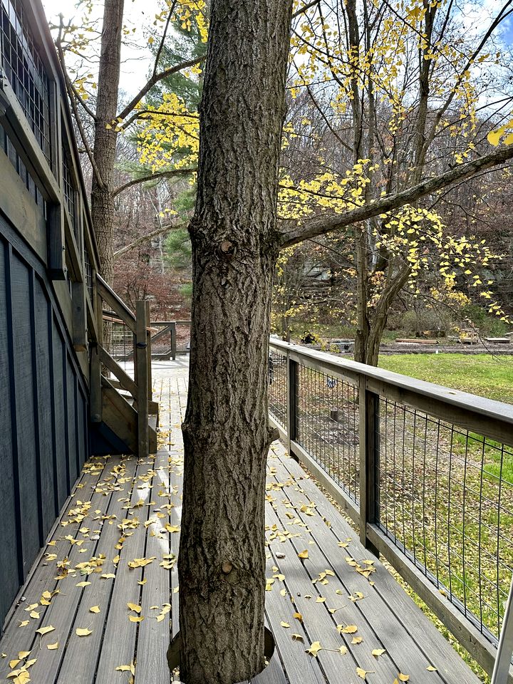 Luxurious Glamping Tree House at Starved Rock, Perfect for a Weekend Escape from Chicago