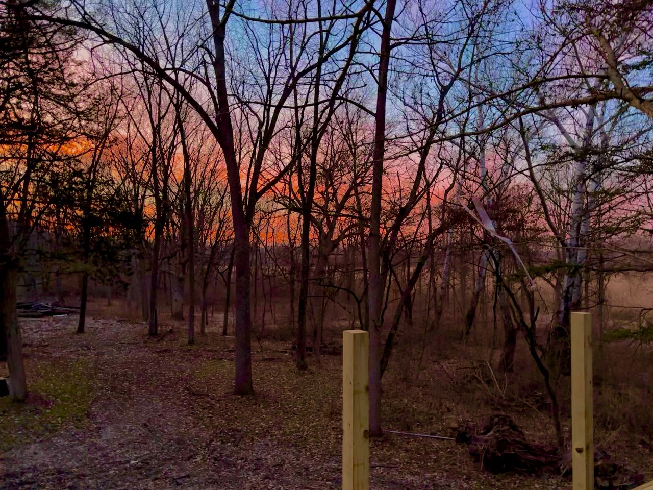 Luxurious Glamping Tree House at Starved Rock, Perfect for a Weekend Escape from Chicago