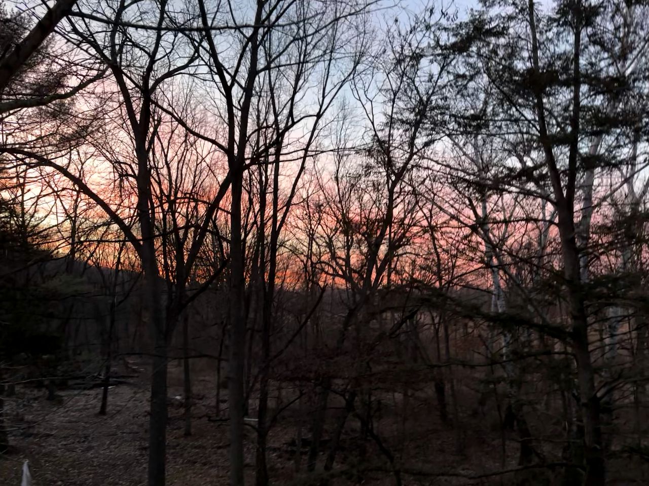 Luxurious Glamping Tree House at Starved Rock, Perfect for a Weekend Escape from Chicago