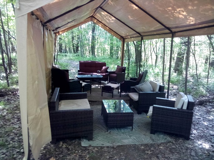 Treehouse Cabin in the Bluff Woodlands, Tree Houses, Elba, United States of America Glamping Hub