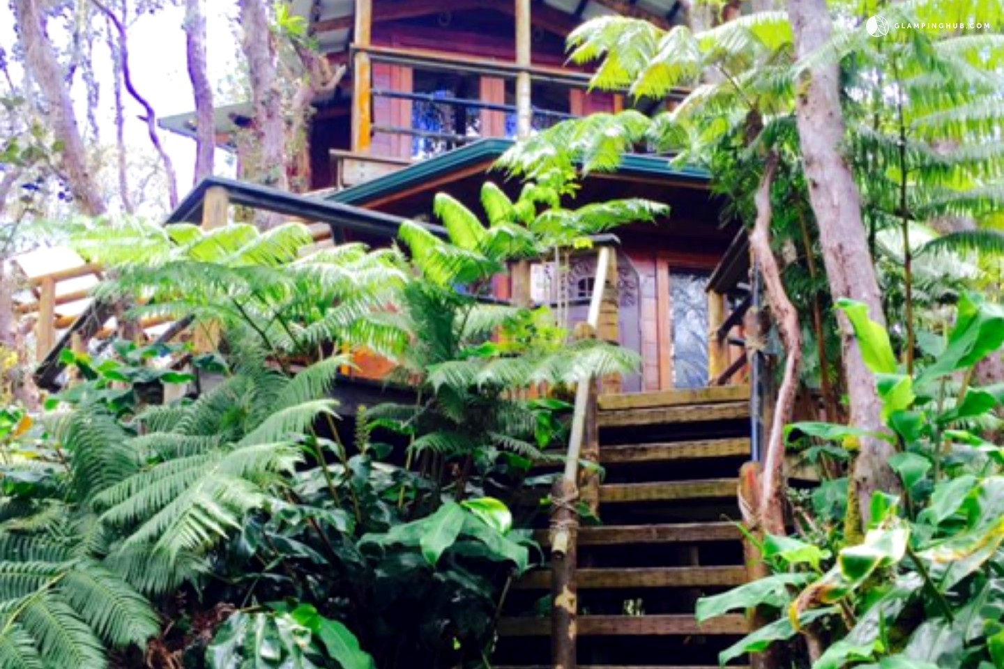 Tree House on Big Island, Hawaii, near Volcano