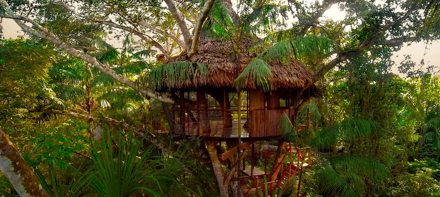 Huge Family-Friendly Tree House in Amazon Rainforest near Iquitos, Peru