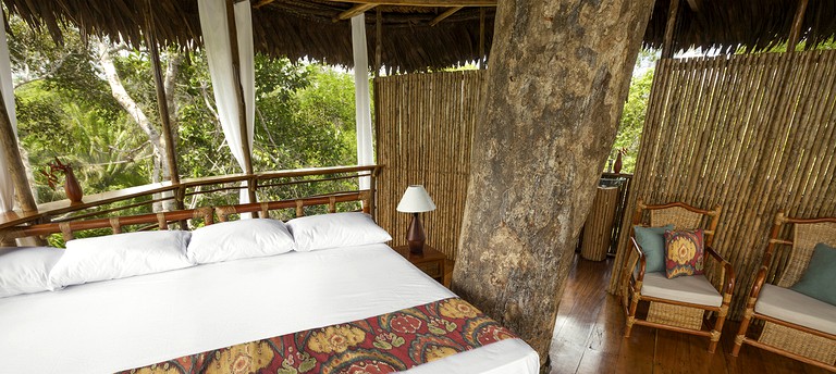 Tree Houses (Nauta, Loreto, Peru)