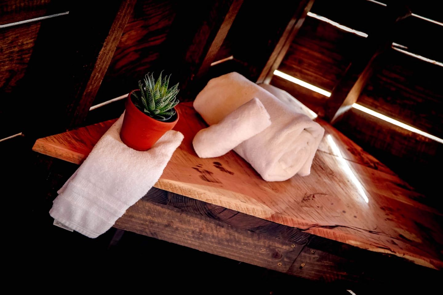 Epic Lookout Tree House Tower Overlooking the Breathtaking North Georgia Appalachian Mountains, Ringgold