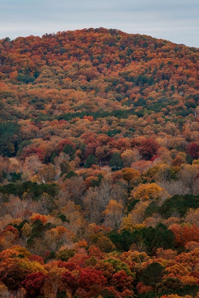 Epic Lookout Tree House Tower Overlooking the Breathtaking North Georgia Appalachian Mountains, Ringgold