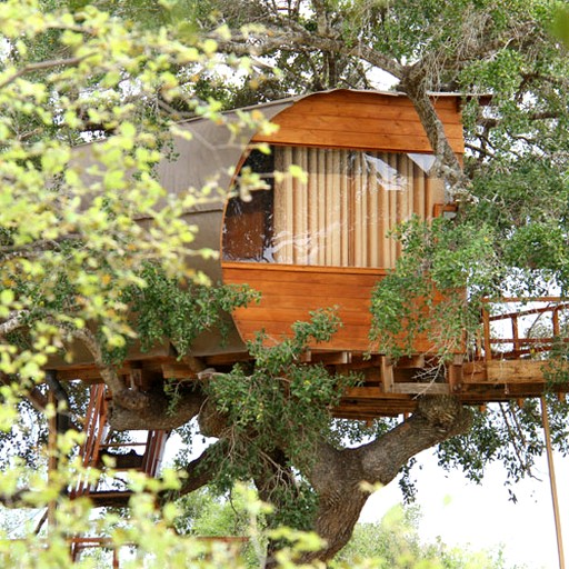 Unique Tree House Getaway near Tissamaharama, Sri Lanka | Tree Houses (Palatupana, Southern Province, Sri Lanka)