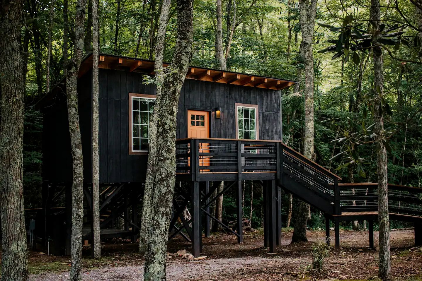 Stunning Tree House Perfect for Couples in Erwin, Tennesse