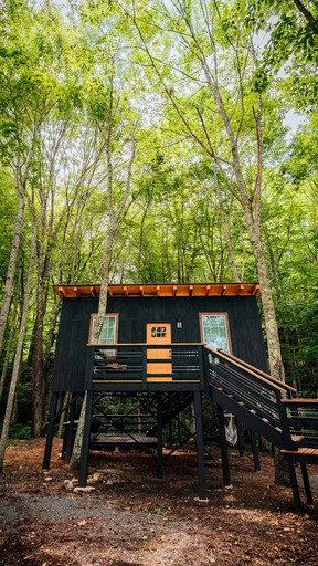 Tree Houses (United States of America, Erwin, Tennessee)