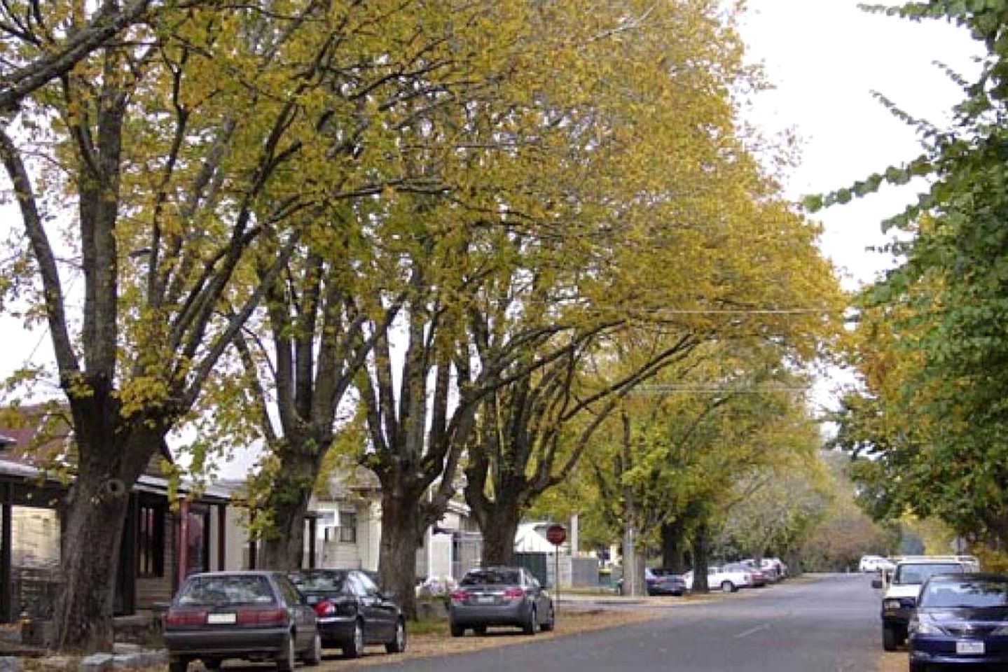 Trentham Central Villas, Villa 2, Vacation Rentals, Hepburn Springs