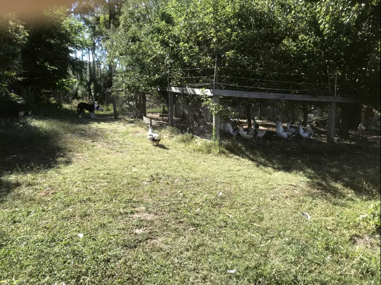 Wonderful Rural Cabin Rental on 67 Acres near Bunyip State Park, Victoria