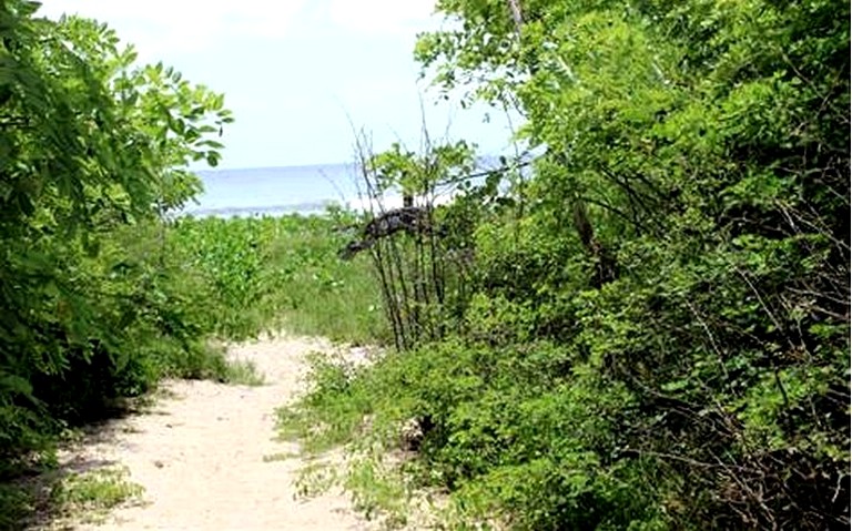 Beach Houses (Playa Grande, Guanacaste, Costa Rica)