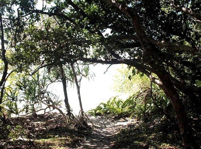 Tented Cabins (Cow Bay, Queensland, Australia)