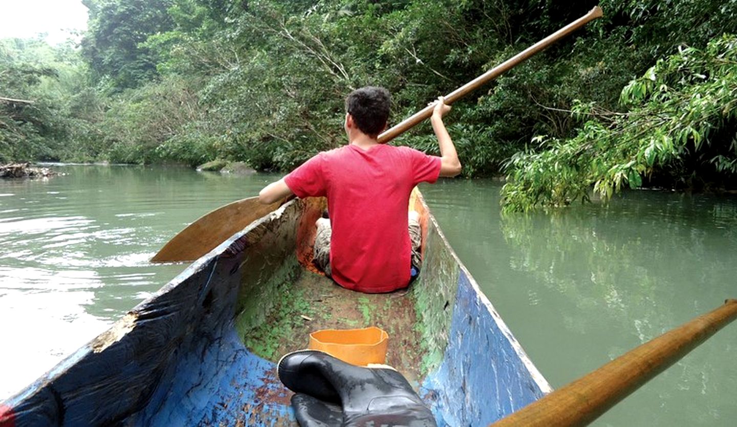 Tropical Cabins in Ecuador Nestled Between a Rainforest and River