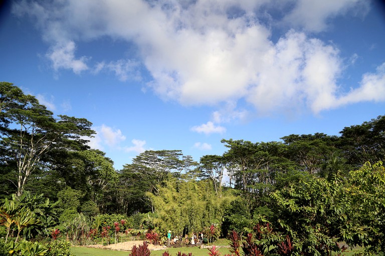 Cabins (Pahoa, Hawaii, United States)