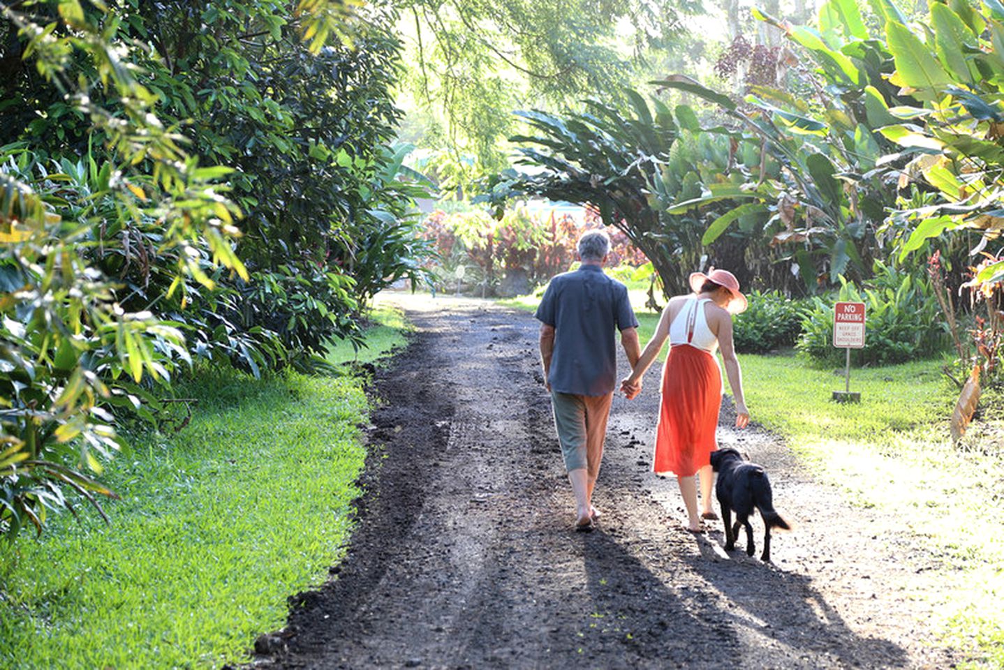 Eco-Friendly Cabin on a Permaculture Farm near Volcano, Hawaii