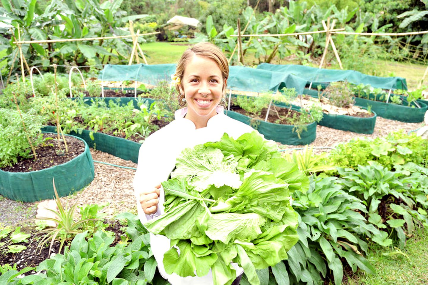Eco-Friendly Cabin on a Permaculture Farm near Volcano, Hawaii