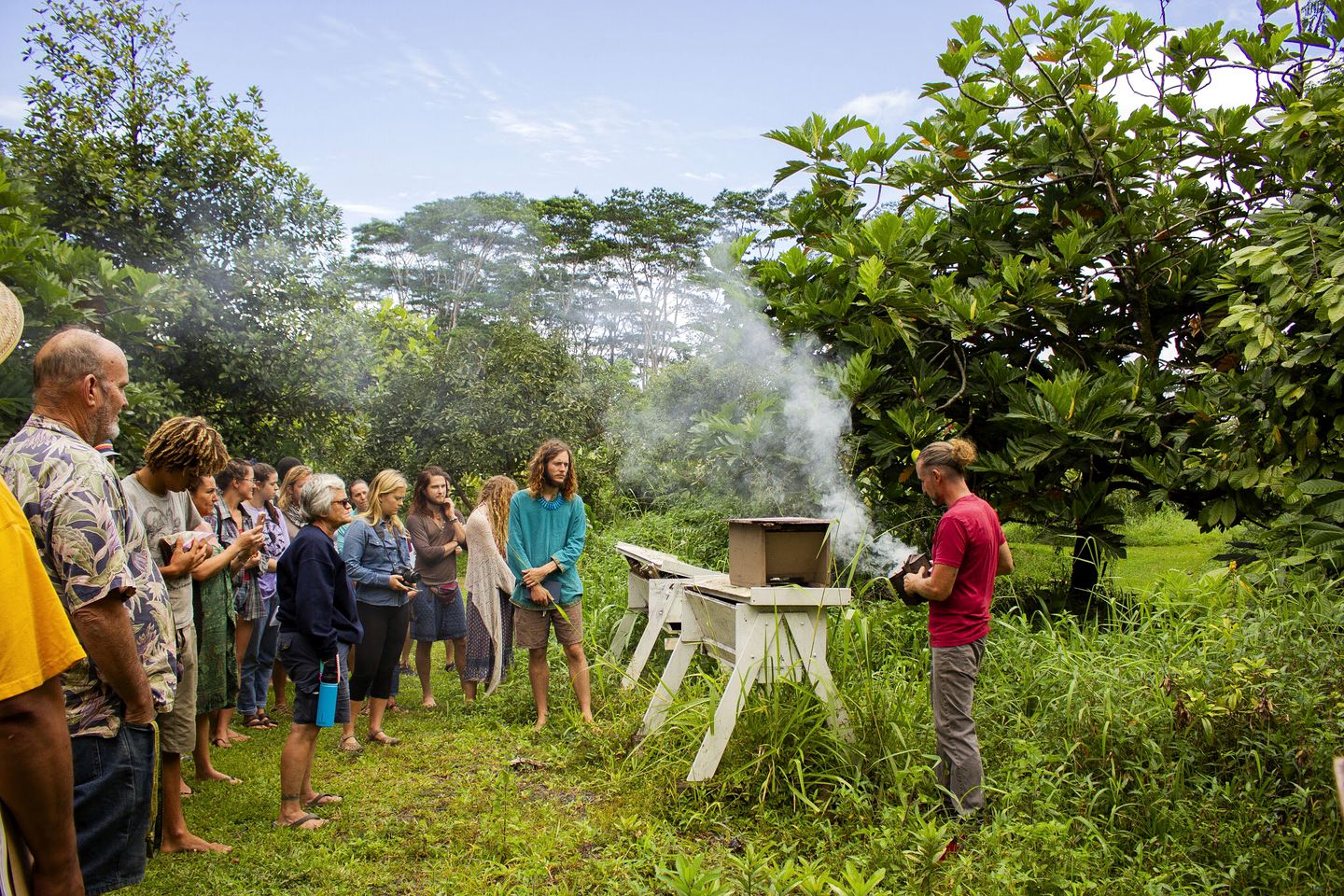 Eco-Friendly Cabin on a Permaculture Farm near Volcano, Hawaii