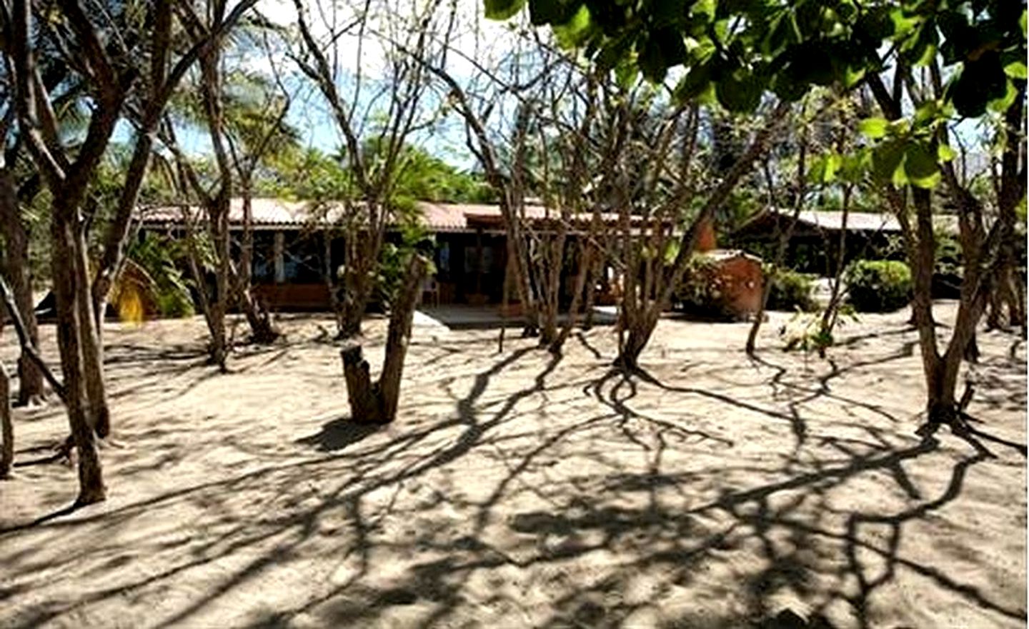 Tropical Garden Villa on the Beach in Playa Grande, Costa Rica