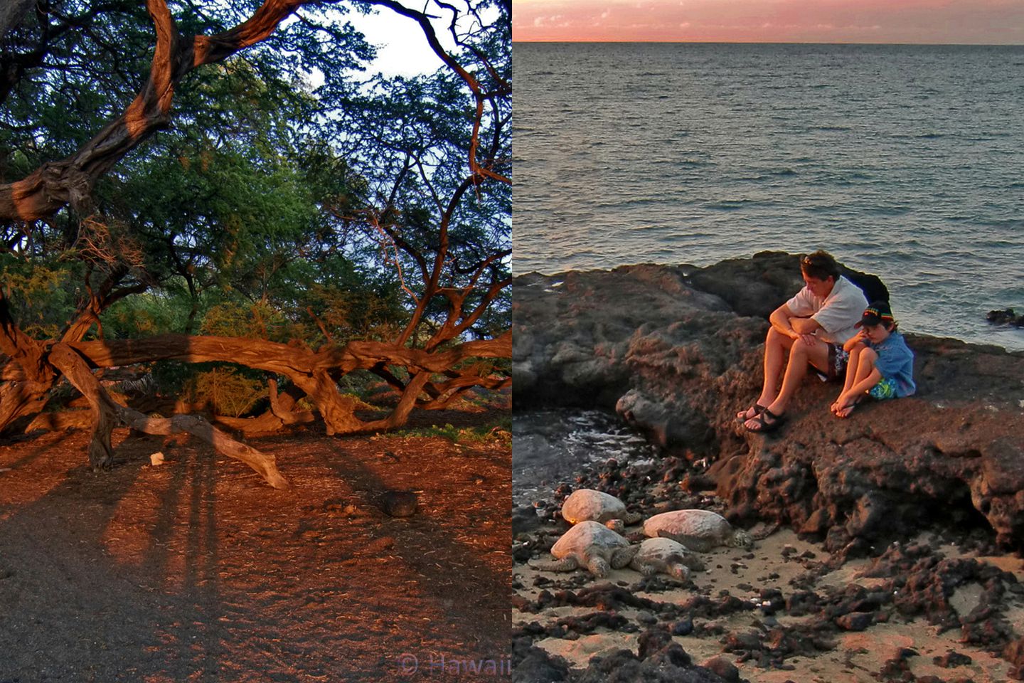 Tropical Remodeled Villa with Stunning Fairway Views in Waikoloa, Hawaii