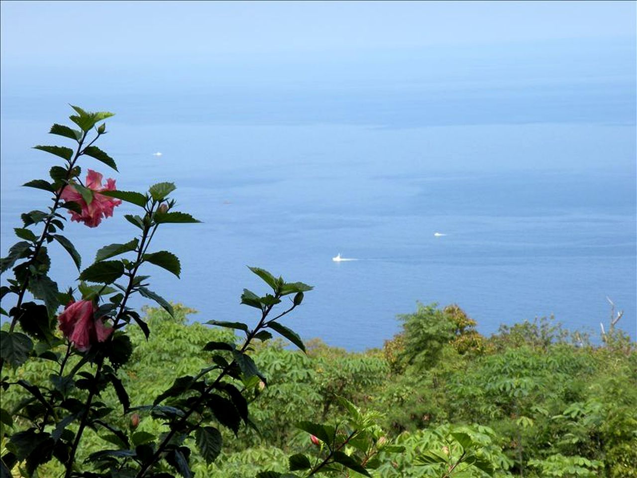 Gorgeous Vacation Cottage with Stunning Ocean Views in Captain Cook, Hawaii