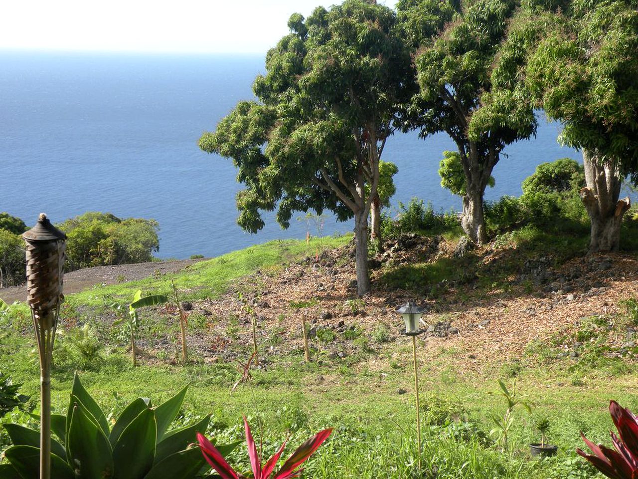 Gorgeous Vacation Cottage with Stunning Ocean Views in Captain Cook, Hawaii