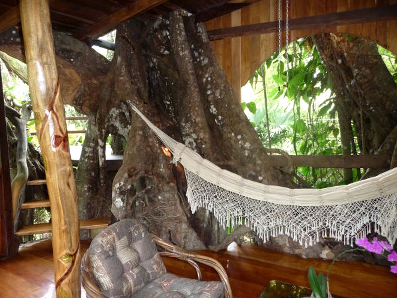 Tropical Treehouse Near Playa Negra, Costa Rica