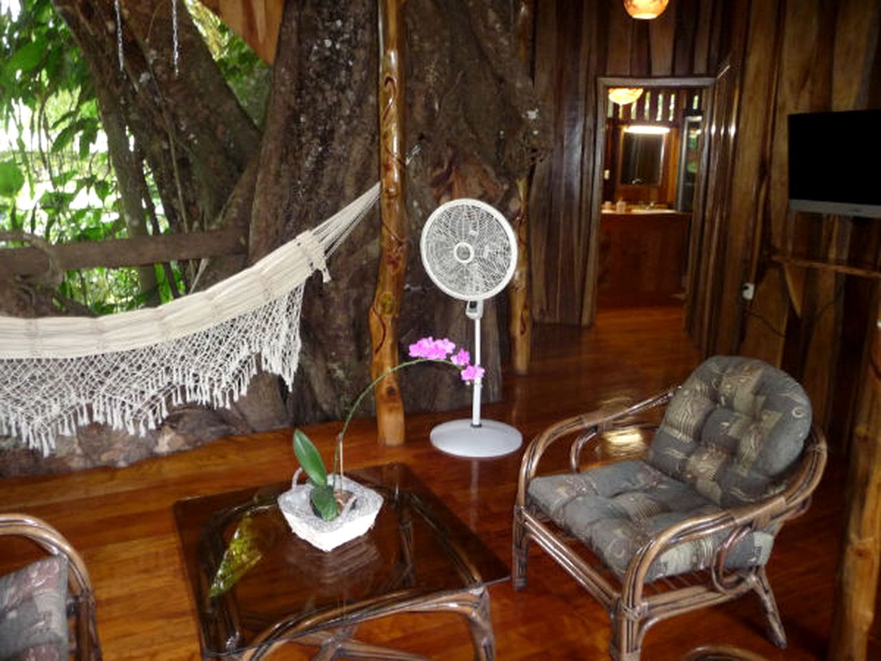 Tropical Treehouse Near Playa Negra, Costa Rica