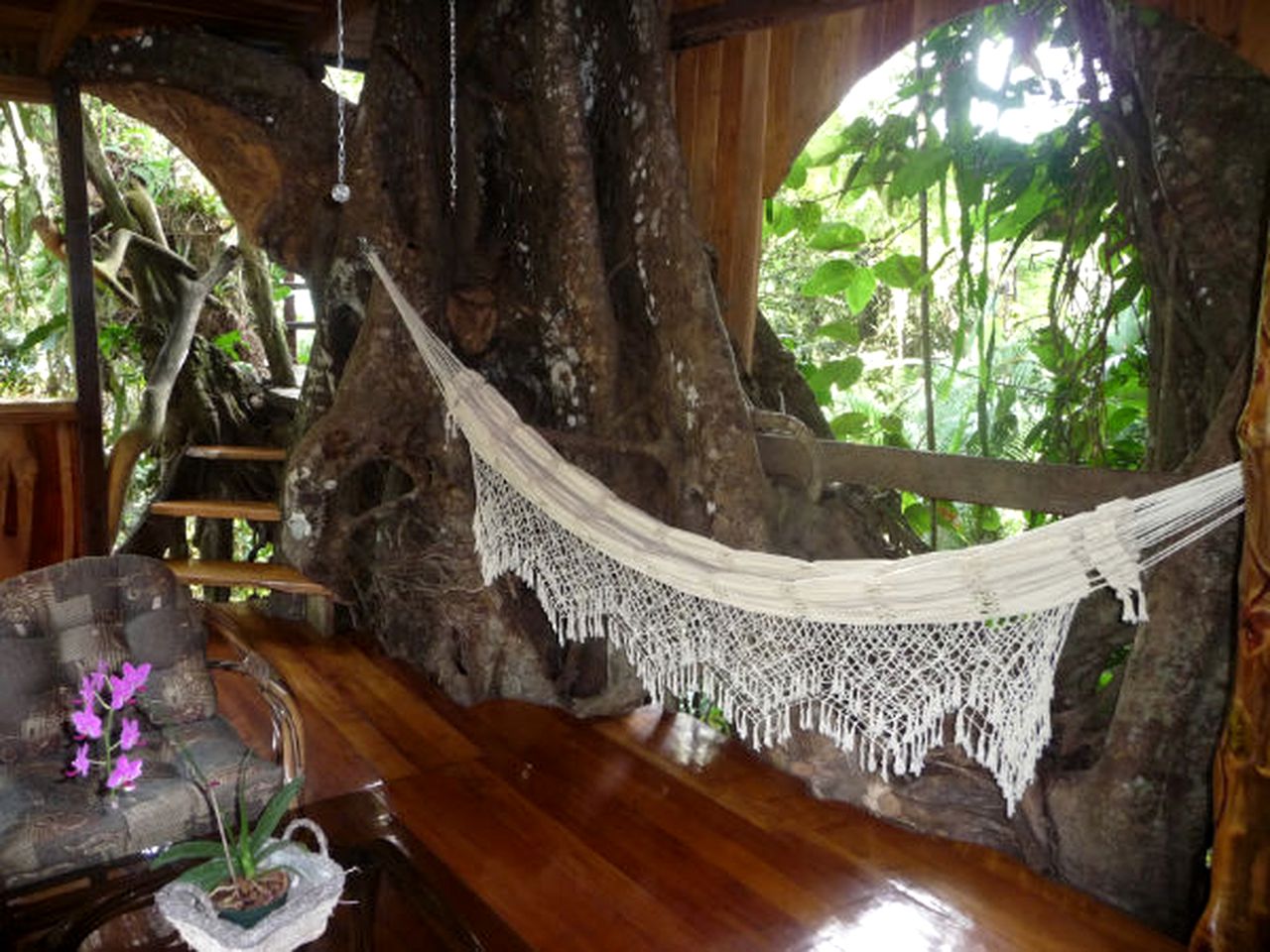 Tropical Treehouse Near Playa Negra, Costa Rica