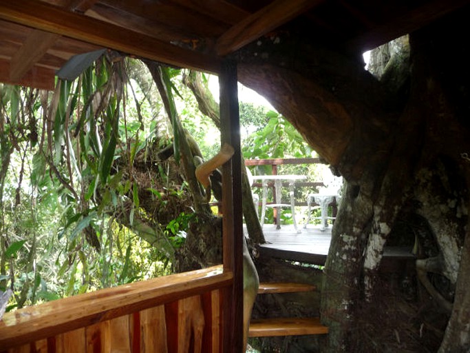 Tree Houses (Cahuita, Limón, Costa Rica)