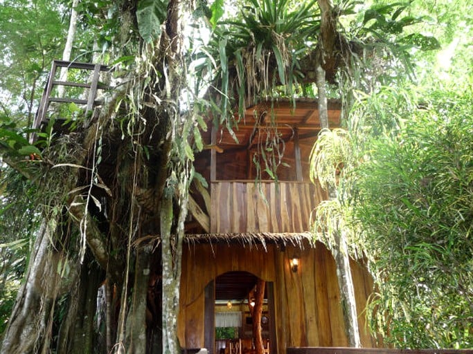 Tree Houses (Cahuita, Limón, Costa Rica)