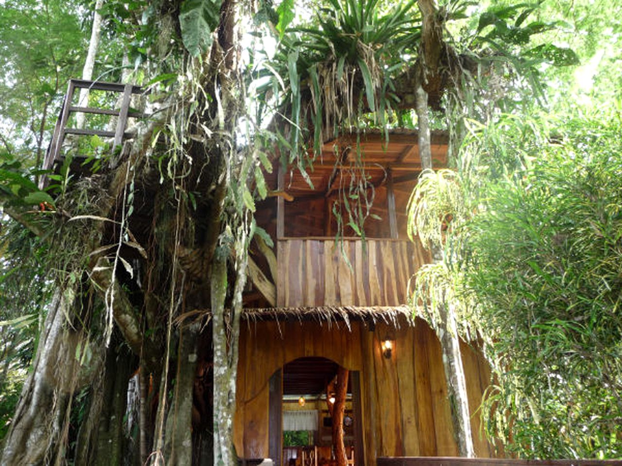 Tropical Treehouse Near Playa Negra, Costa Rica