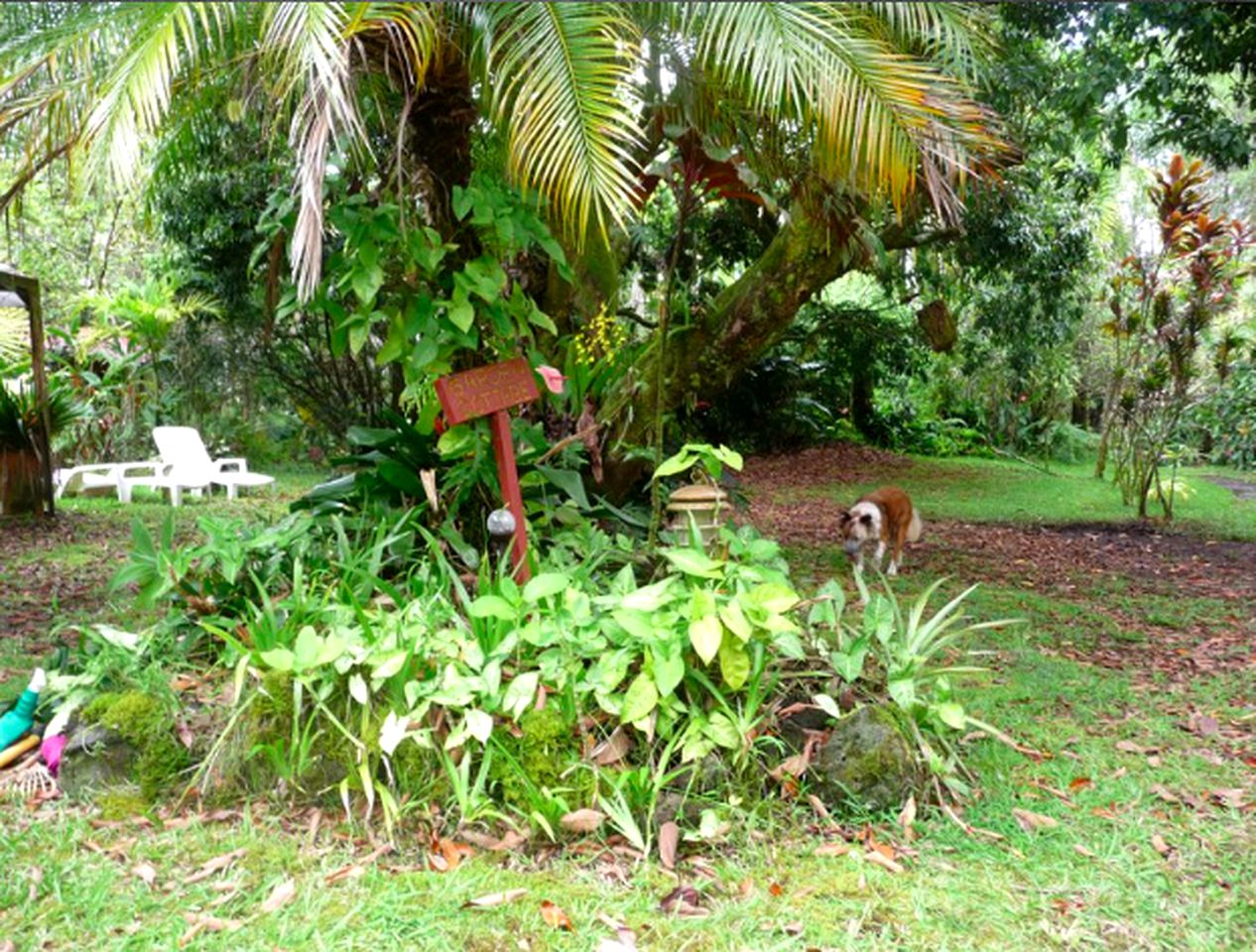 Glamping Yurt Hawaii