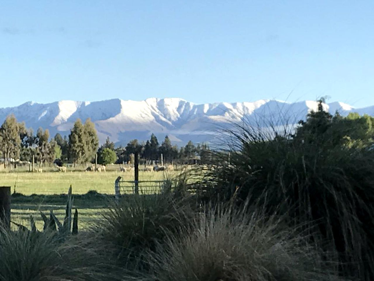 Stylish Vacation Rental with Daily Breakfast near the Taieri River, South Island