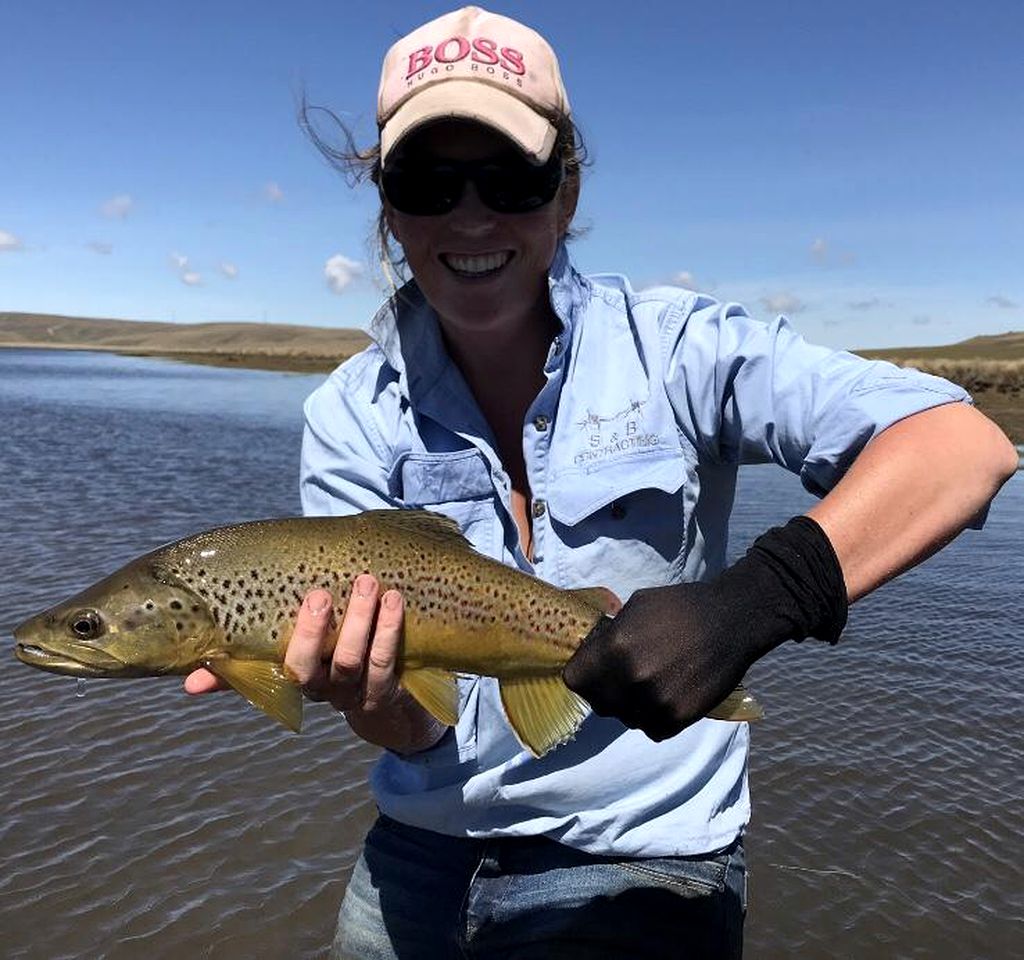 Contemporary Vacation Rental near Roxburgh Gorge in New Zealand's South Island