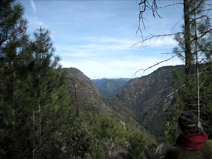 Cabins (Gold Run, California, United States)