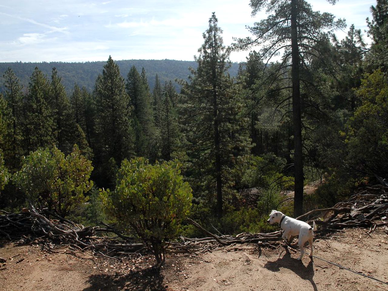Country Cabin with Spa Hot Tub and Private Deck near Rollins Lake in California