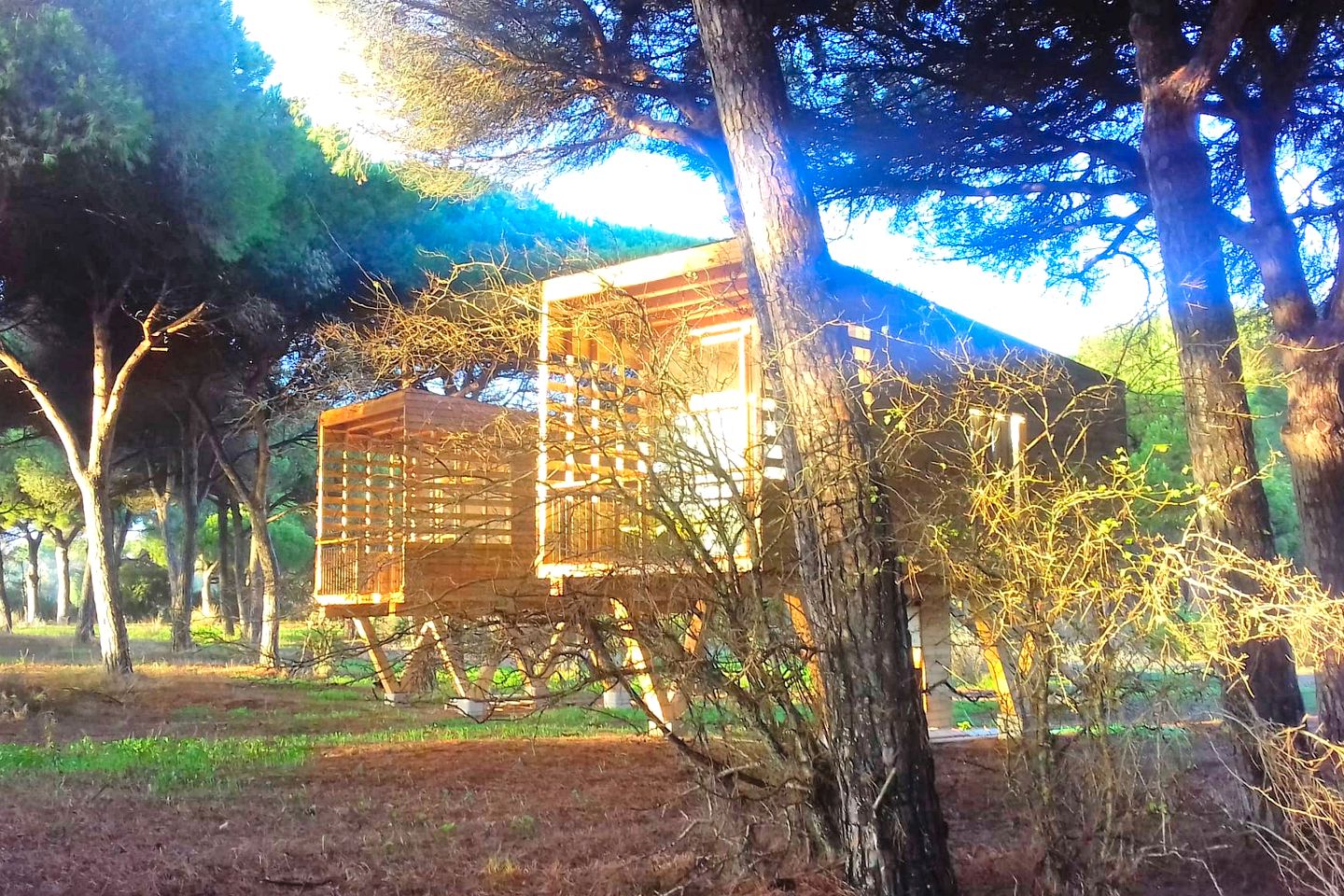 Family Getaway in Unique Tree House Accommodation near Cadiz, Spain