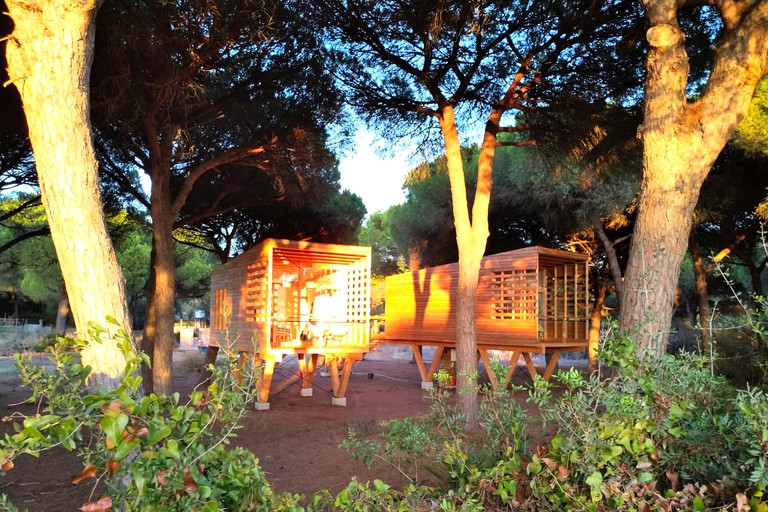 Tree Houses (Vejer de la Frontera, Andalusia, Spain)