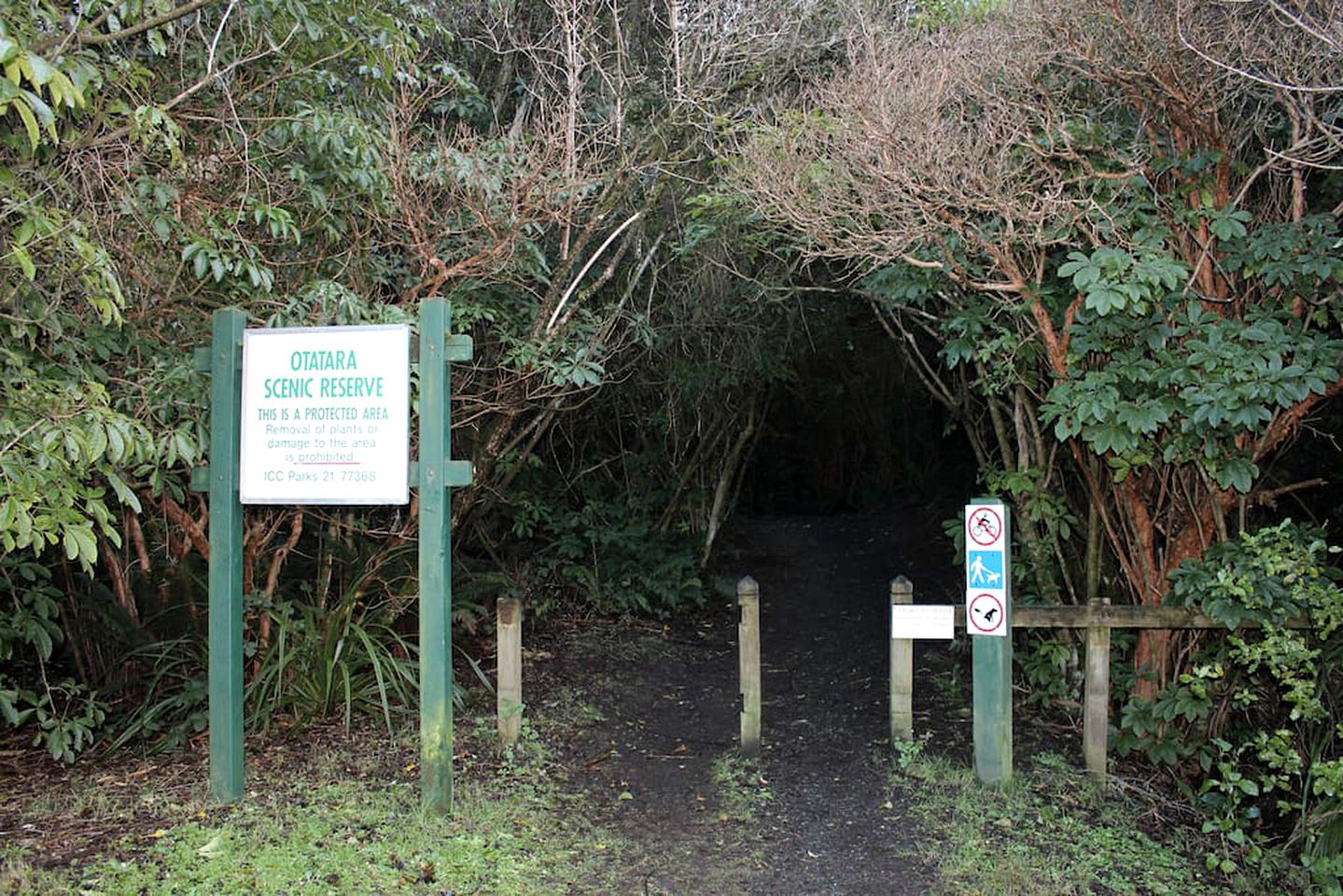 Delightful Cabin on Southland Coast near Invercargill, New Zealand