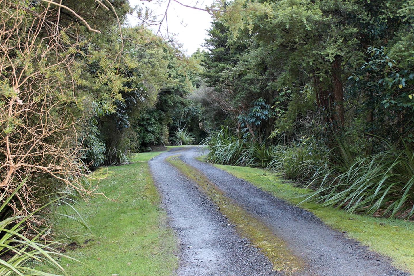 Delightful Cabin on Southland Coast near Invercargill, New Zealand