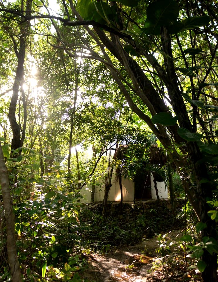 Stunning Tulum Retreat for Romantic Getaways in Mexico