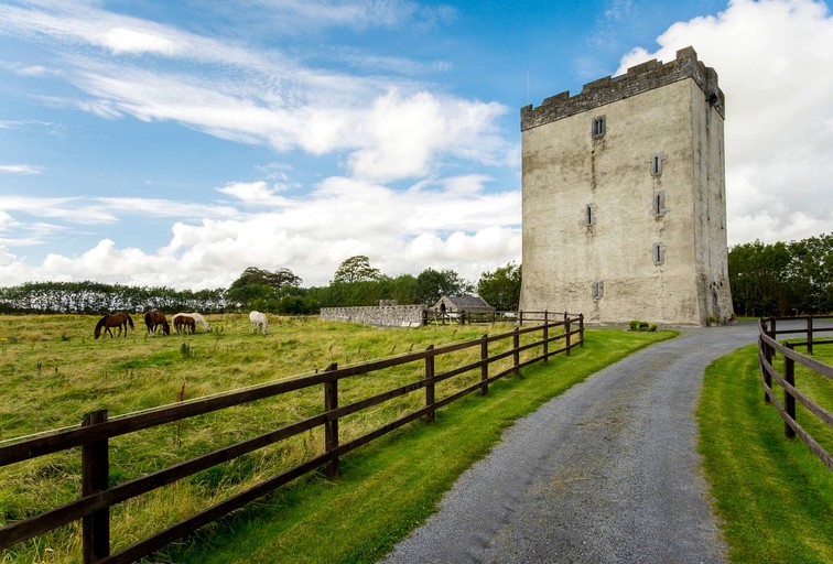 Castles & Towers (Kilmaine, County Mayo, Ireland)