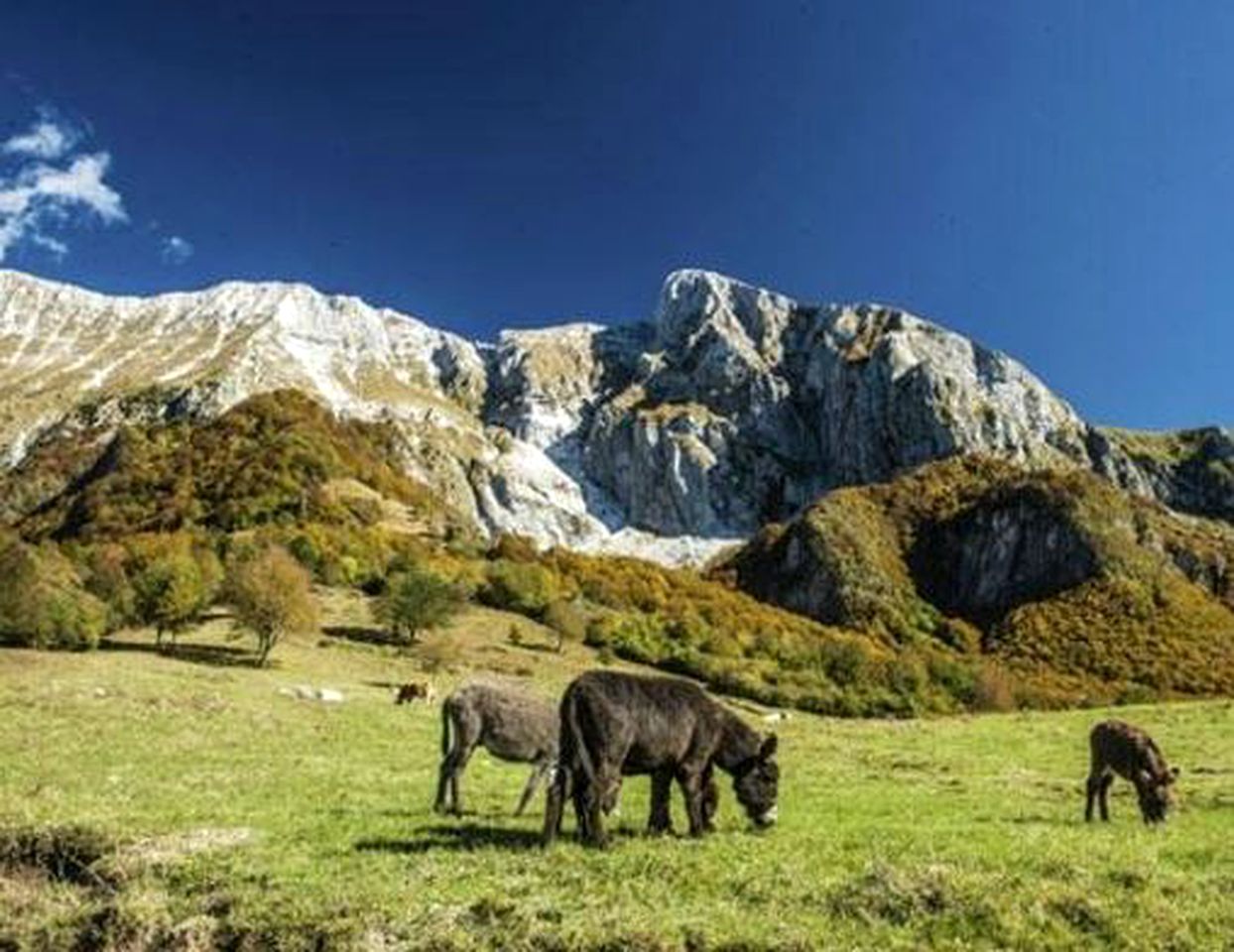 Romantic Room Rental for a Weekend Getaway near the Mountains in Kobarid, Slovenia