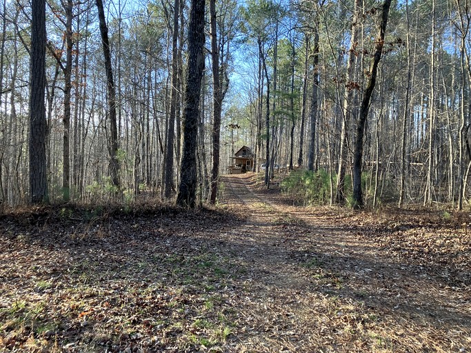 Cabins (United States of America, --, Alabama)