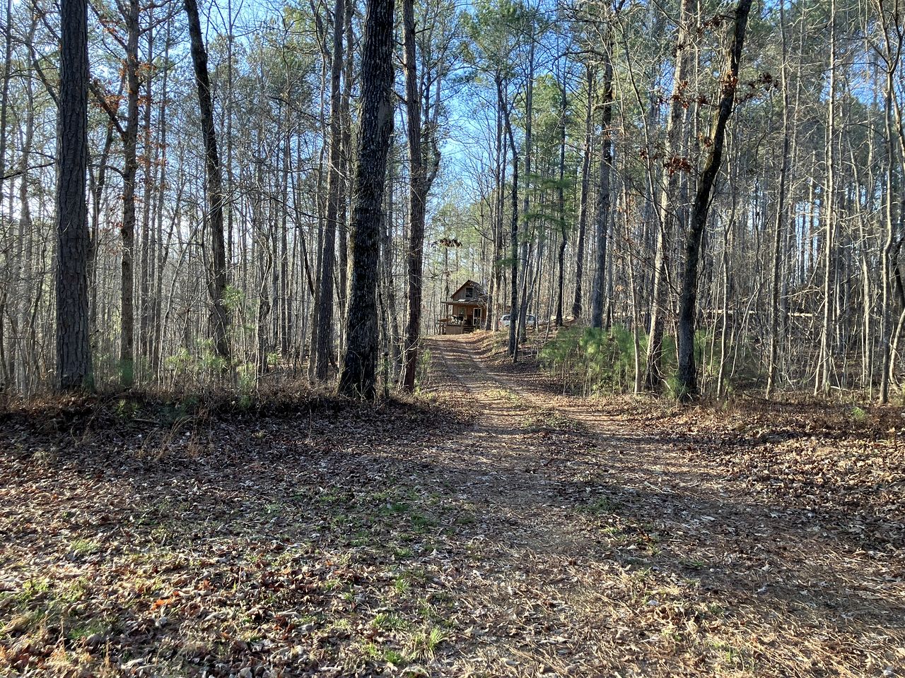 Secluded Woodland Cabin for an Authentic Off-Grid Nature Escape in Fruithurst, Alabama