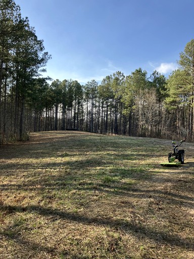 Cabins (United States of America, --, Alabama)